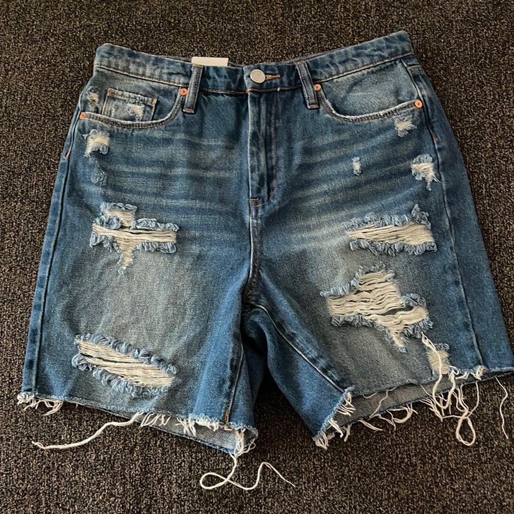BLANKNYC Denim distressed  Cut off Shorts. Size 29 New with tags.